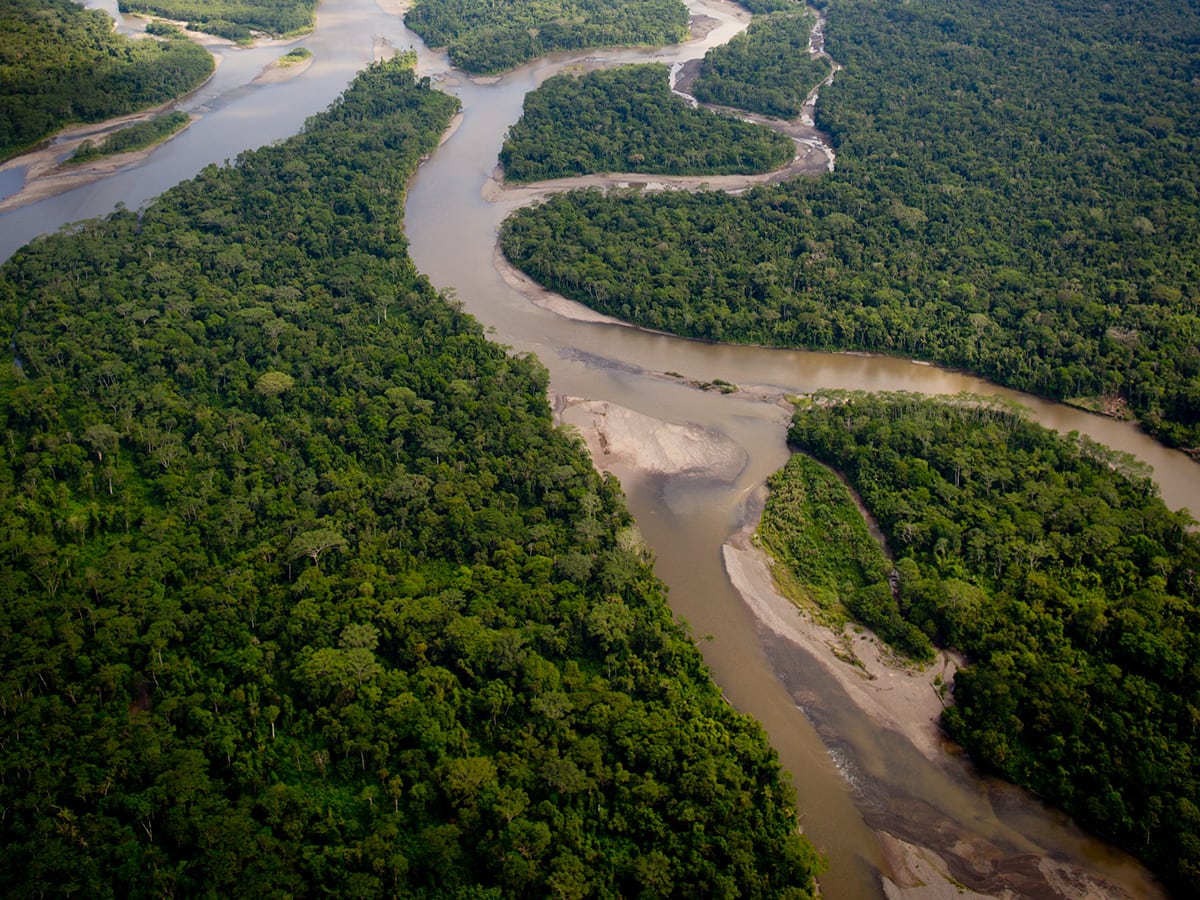 amazon deforest