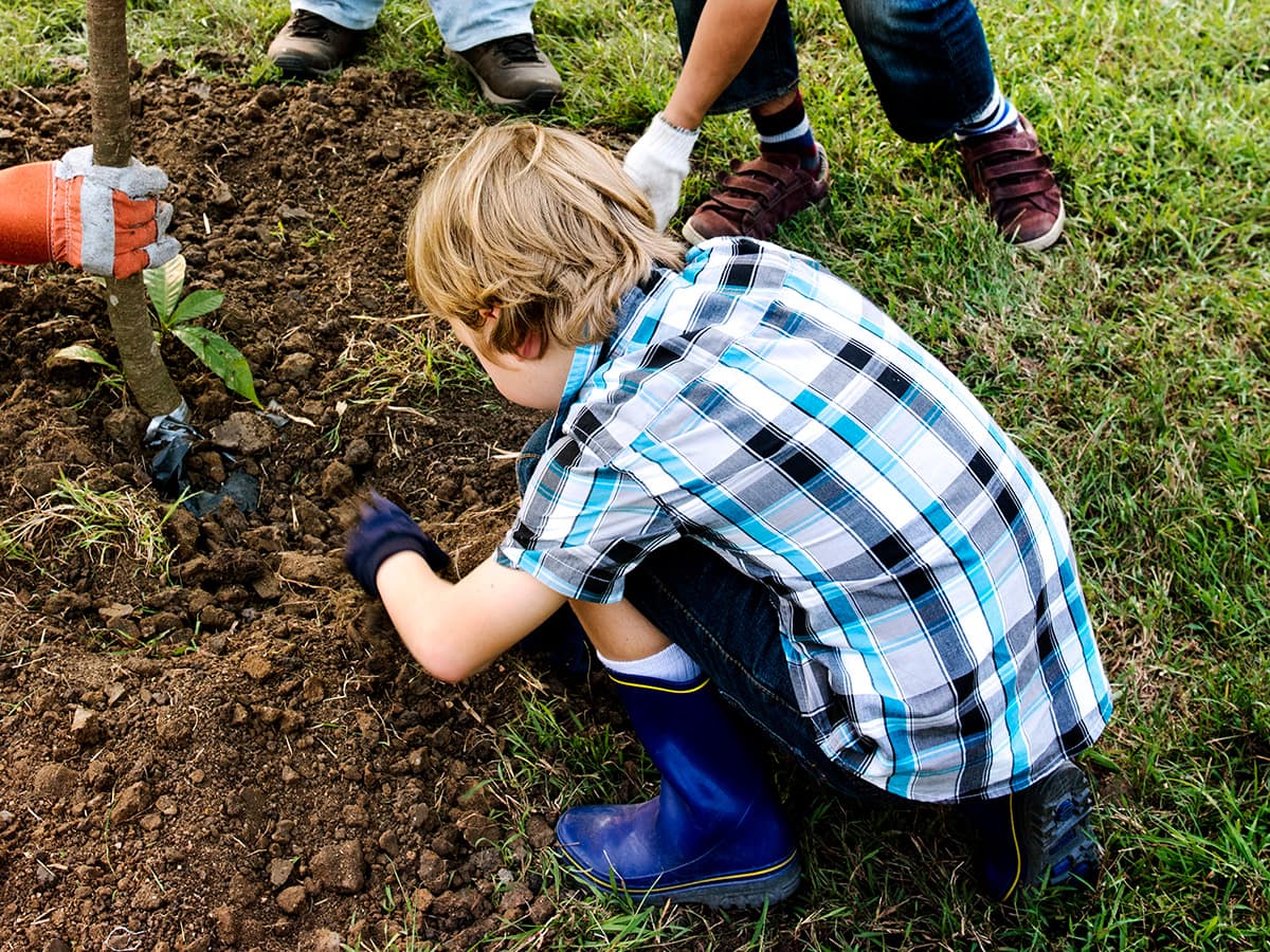 group people plant tree together outdoors