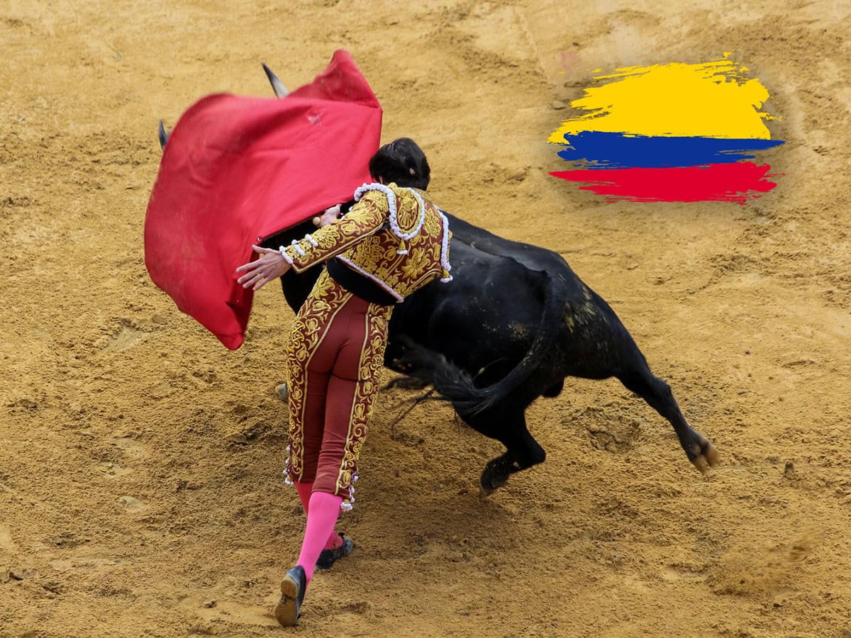 colombia bulls